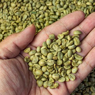 Granos de Café Verde